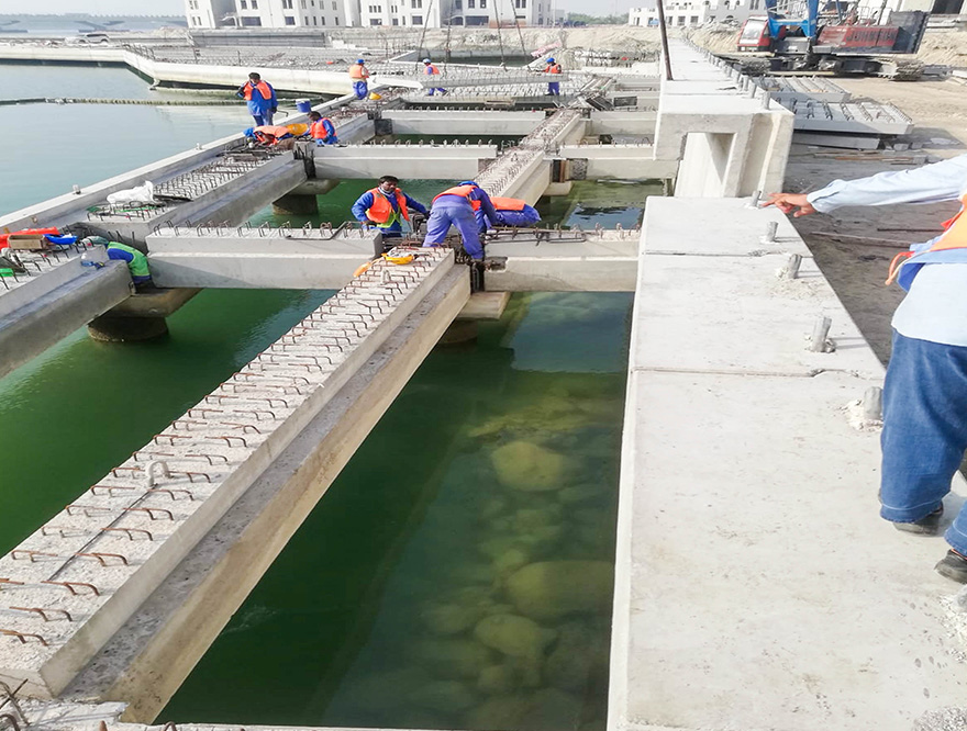 Corporate Strategy and Marine Development